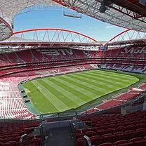 Visita guiada privada por el Estádio da Luz y el Museo Benfica en Lisboa