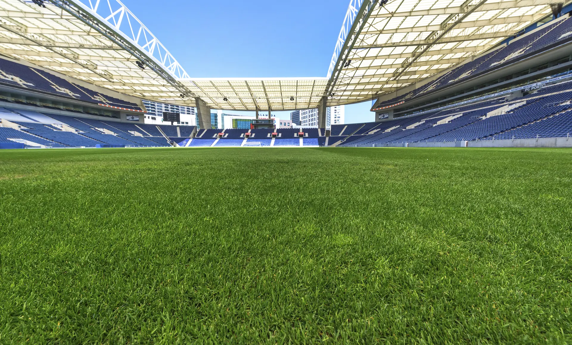 Estádio do Dragão : la pelouse