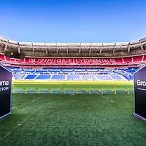 Groupama Arena: Tour VIP e guiado pelo estádio + Entrada no museu