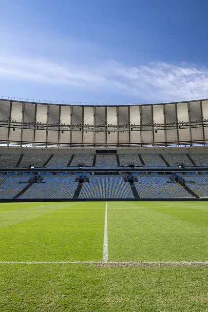 Maracanã : la pelouse