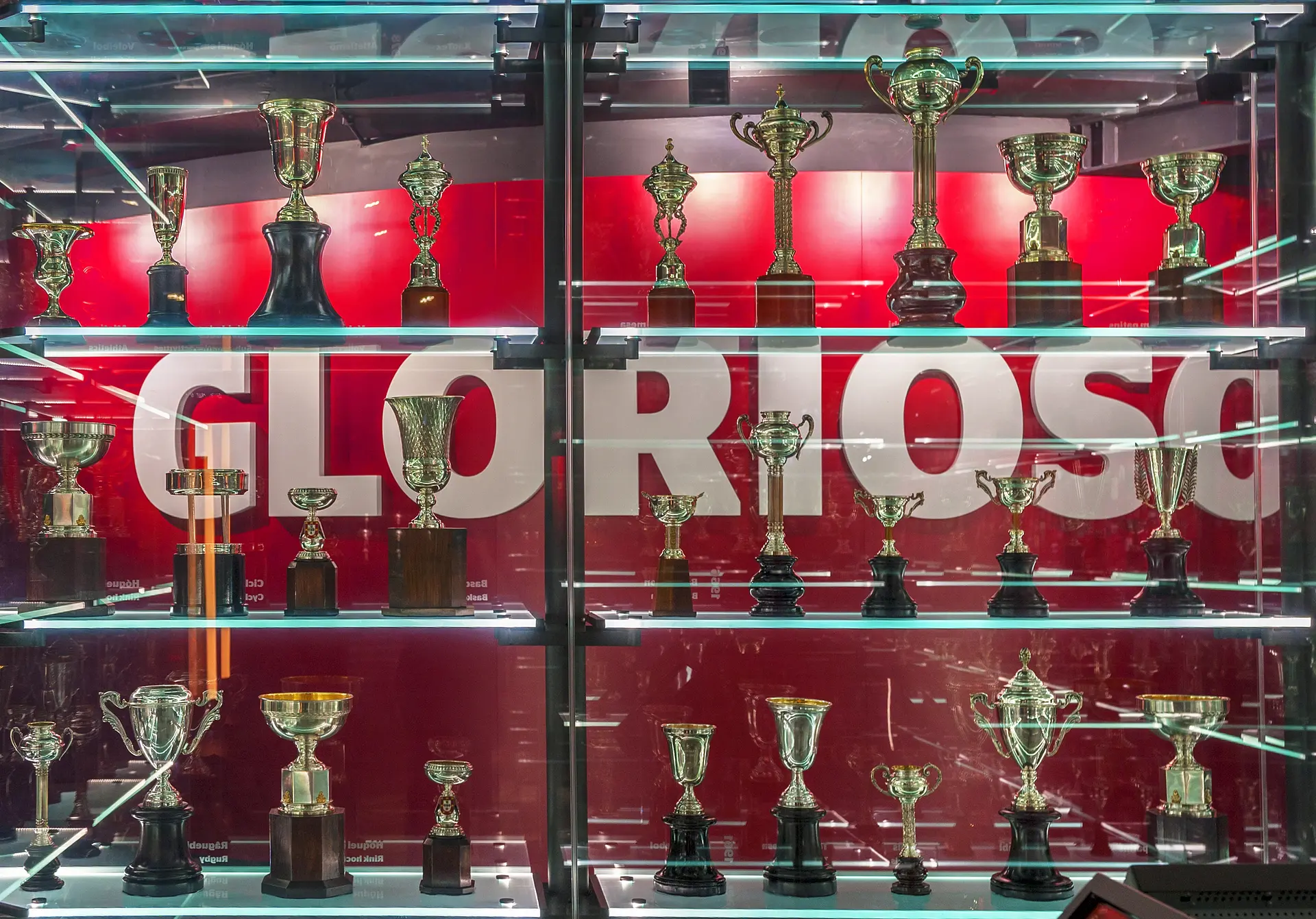 Estádio da Luz : les trophées