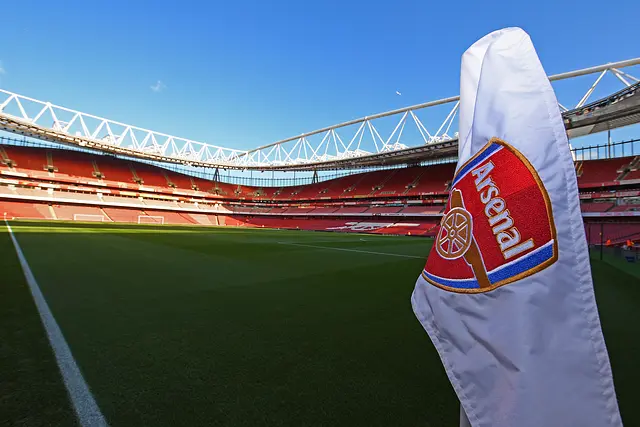 Emirates Stadium : la pelouse