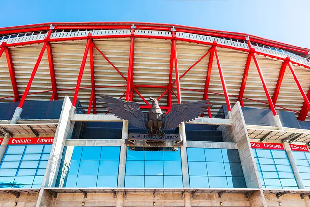 Estádio da Luz: as cores do clube