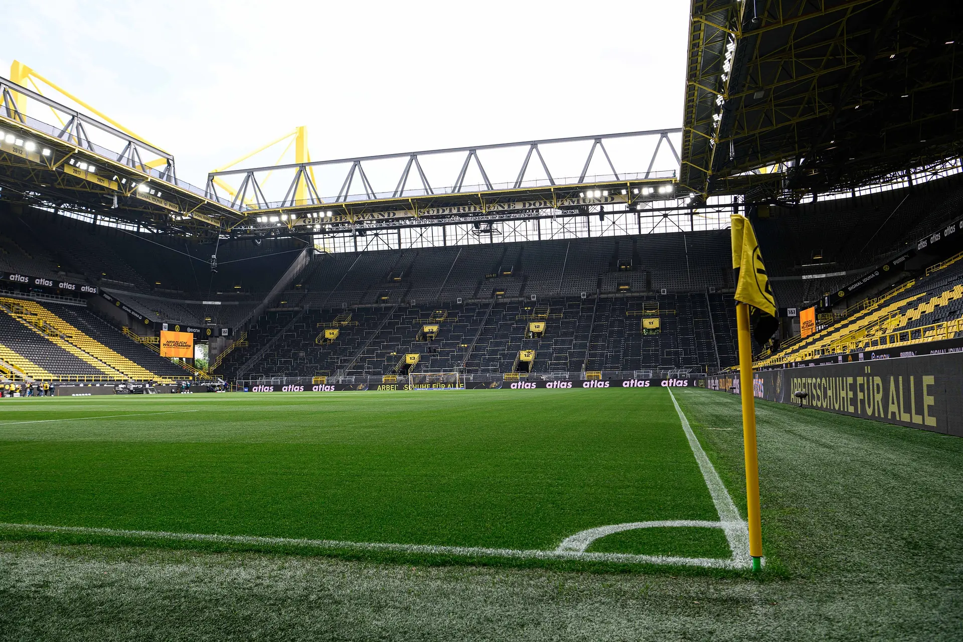 Signal Iduna Park: der Rasen