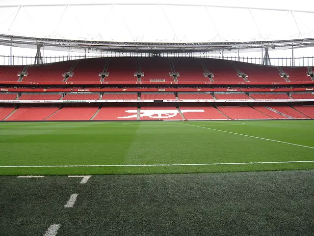 Emirates Stadium: the pitch