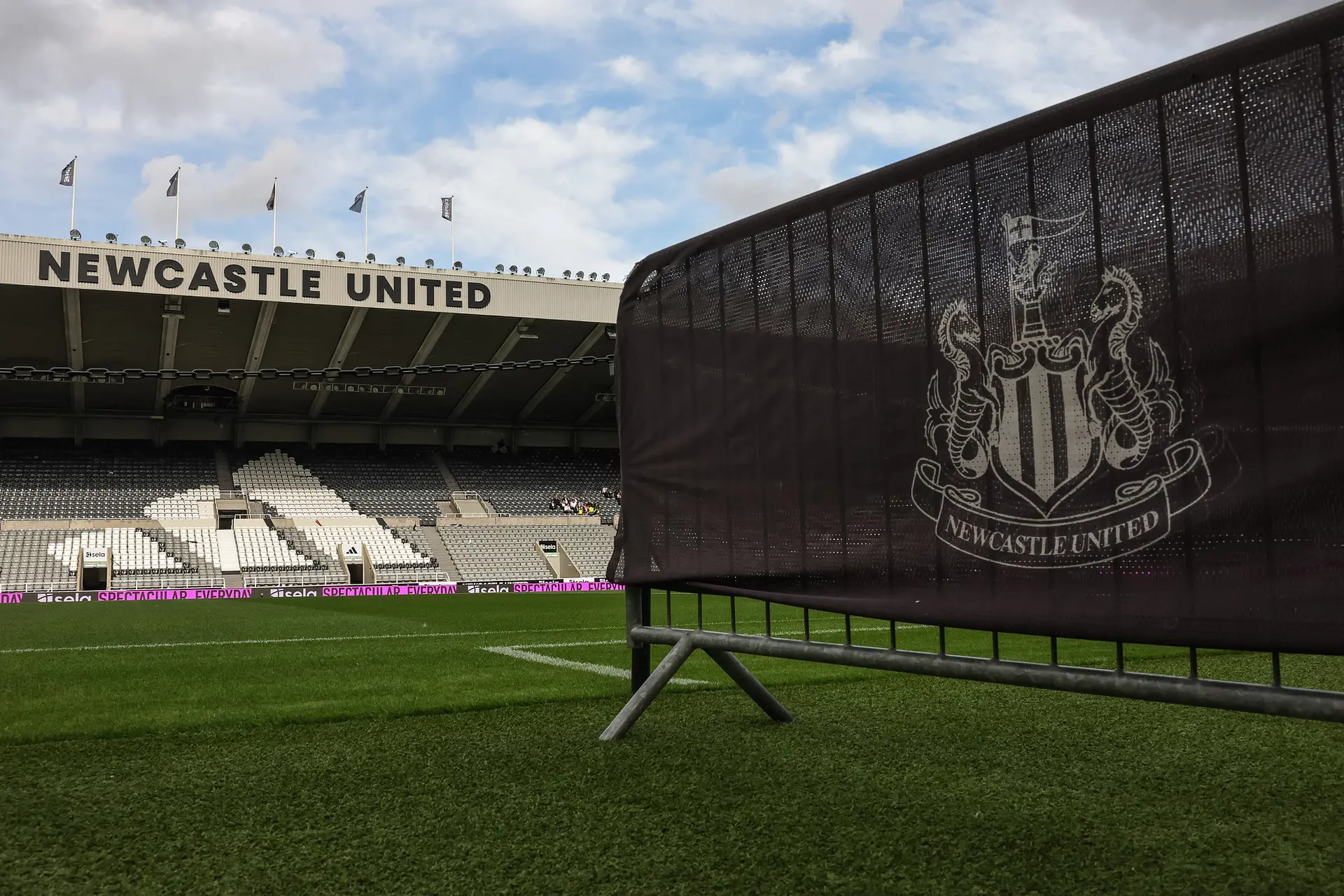St James' Park: der Rasen