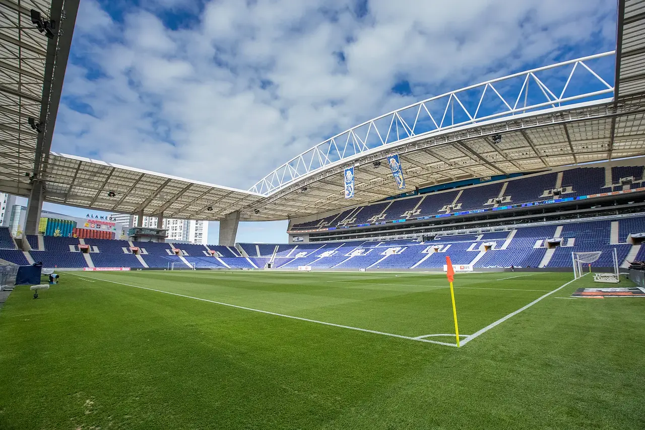 Estádio do Dragão: the pitch