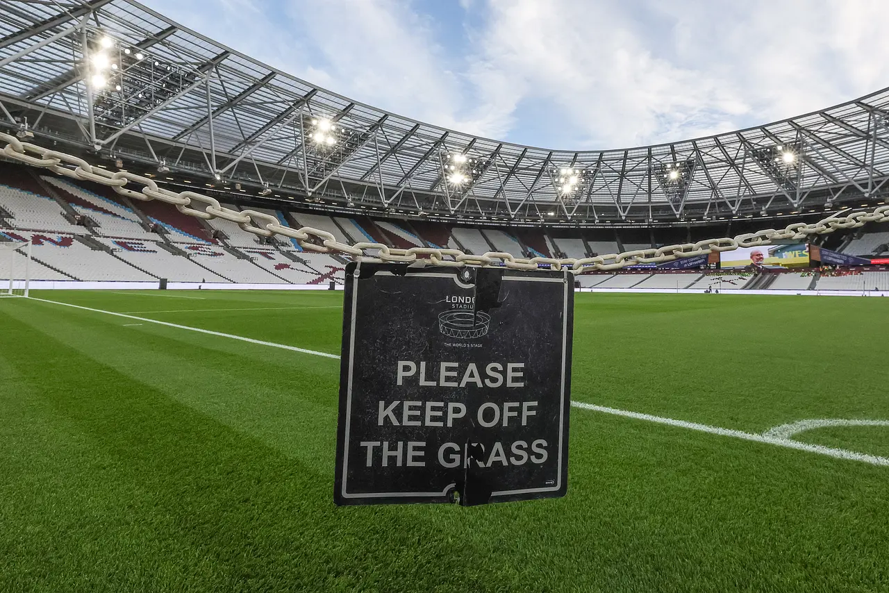 London Stadium: der Rasen