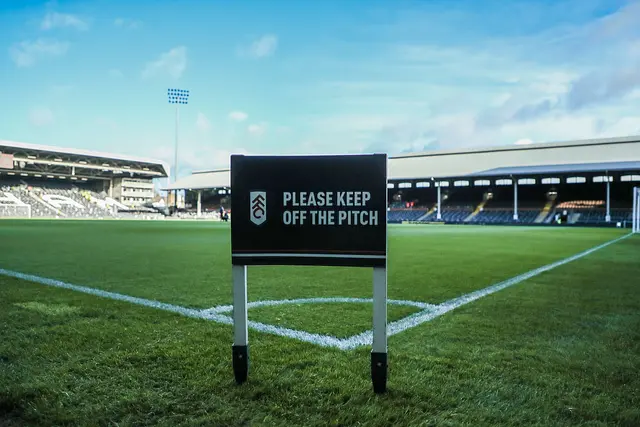 Craven Cottage: the pitch