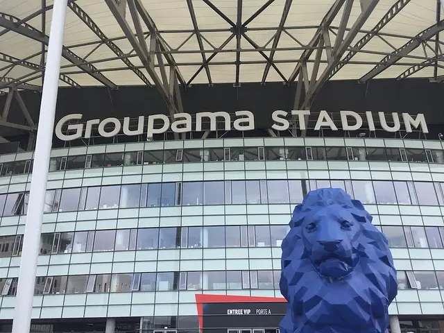 Groupama Stadium: der Stadioneingang