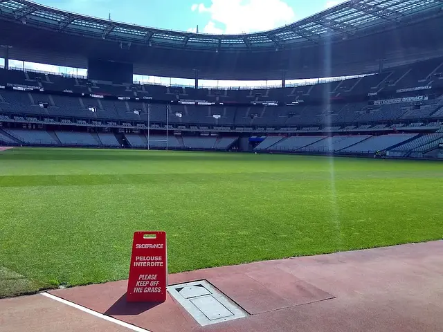 Stade de France: the pitch