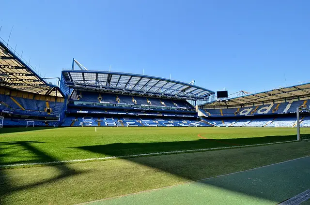 Stamford Bridge : la pelouse