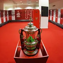 Biglietti per lo stadio Emirates e il museo Arsenal con audioguida