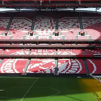 Estádio da Luz y Museo del Benfica: Entrada + Oferta Bufanda